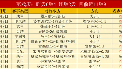 国安新领军人物揭晓：前拜仁球星布罗萨默加盟，共铸辉煌篇章
