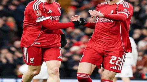 老鹰主场连胜十一期 国王客场连败态势明显