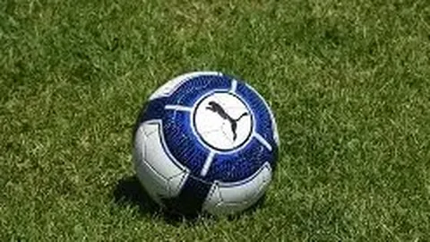 大乐透期号专家推荐：质合分析揭示持续热度原因